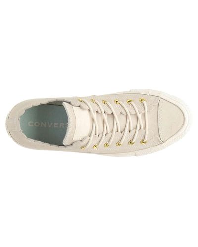 chuck taylor scallop