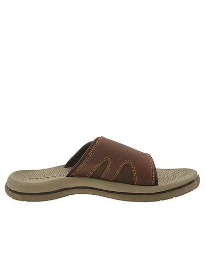 sperry santa cruz flip flops