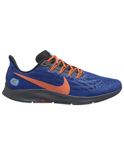 ncaa pegasus 36