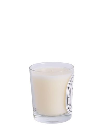 noisetier candle