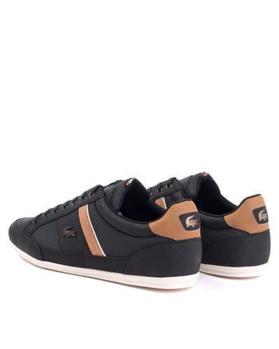 lacoste black & brown chaymon trainers