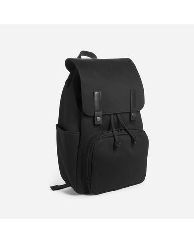 everlane laptop backpack