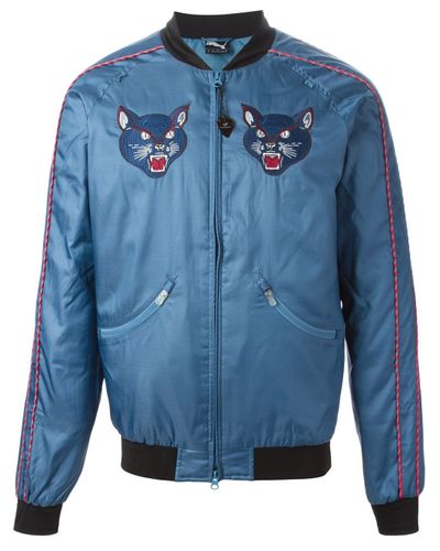 cats in bomber jackets