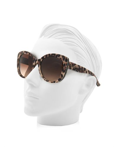 d&g leopard sunglasses