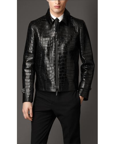 alligator suit jacket