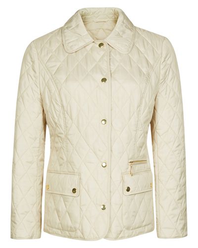 precis petite jackets