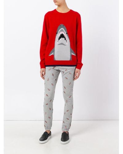 coach shark sweater