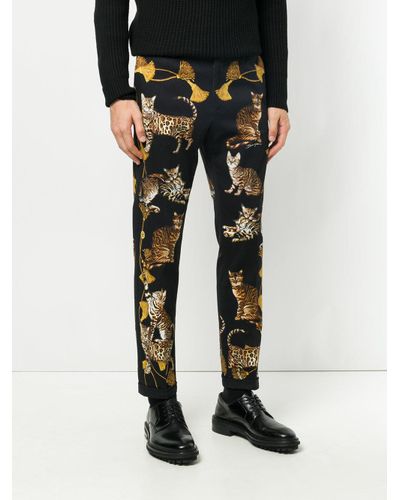 trousers for cats