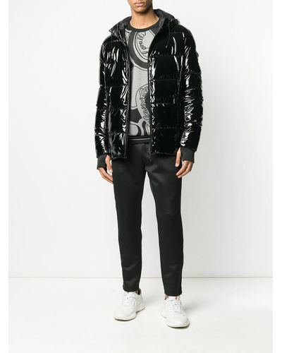 roberto cavalli joggers