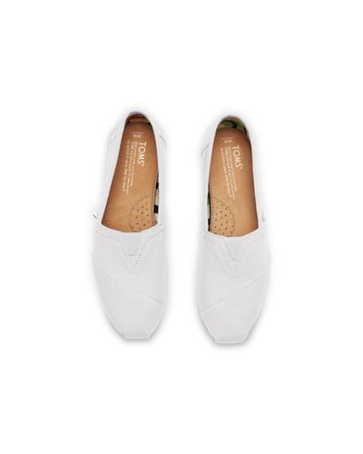 toms classic white canvas