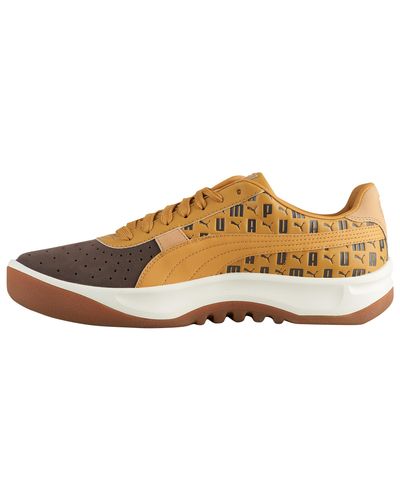 puma gv brown