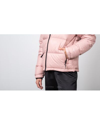 misty rose north face jacket