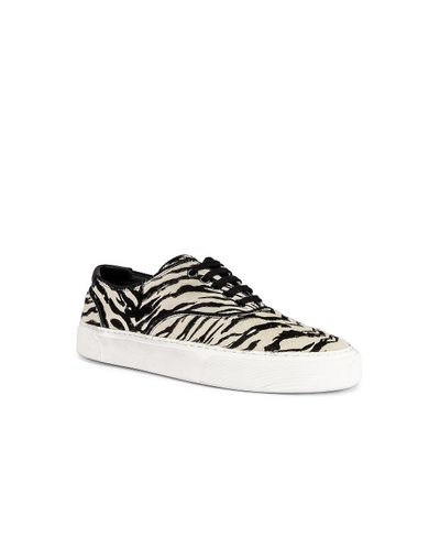 Saint Laurent Zebra Low Top Sneakers in Black \u0026 White (Black) - Lyst