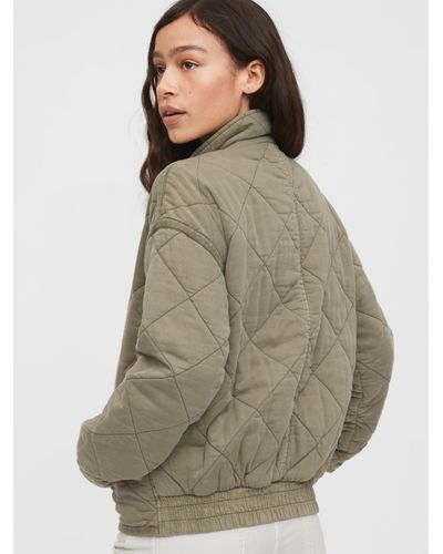 gap cotton jacket