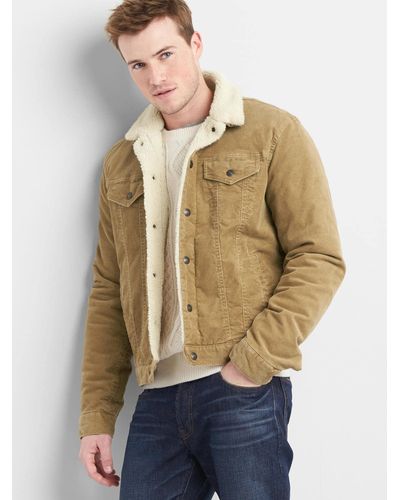 gap shearling jacket