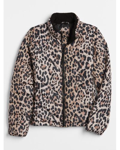 gap leopard print coat