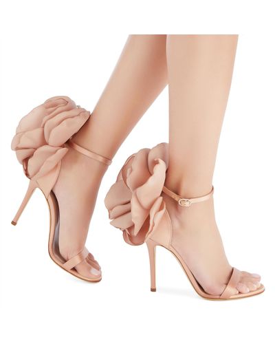 giuseppe zanotti peony