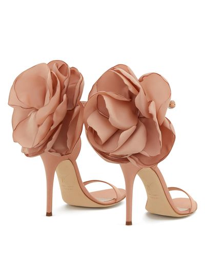 giuseppe zanotti peony