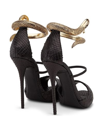 giuseppe zanotti nirvana