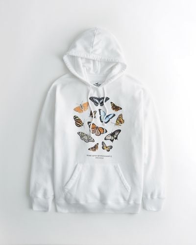 butterfly hoodie hollister Welcome to Quality Engineering