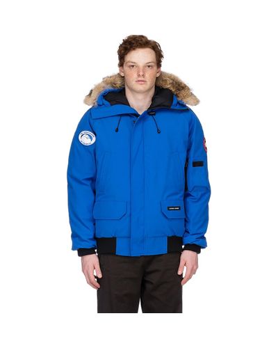 blue chilliwack bomber