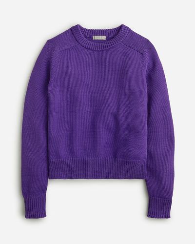 J.Crew Relaxed Pullover Sweater - Blue