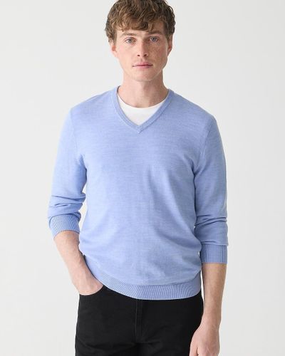 J.Crew Merino Wool V-Neck Sweater - Blue