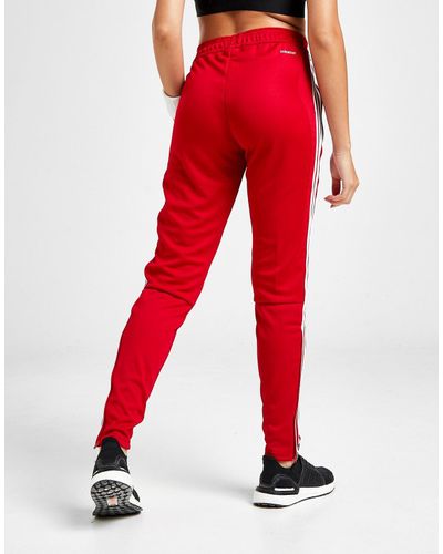 red track pants white stripe