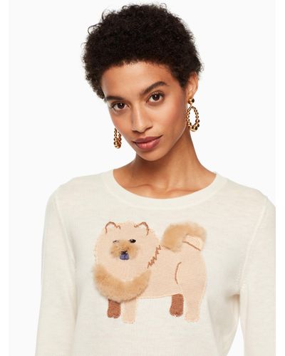 rabbit carrier amazon