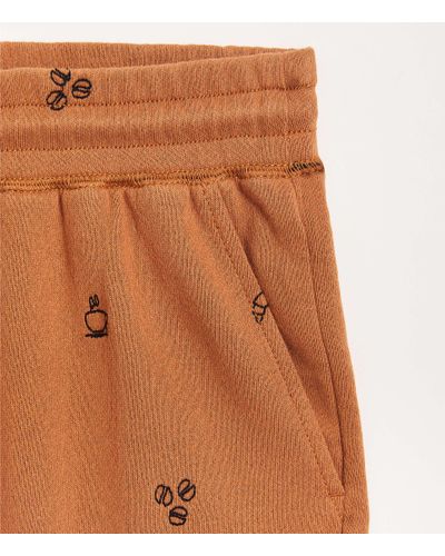 the loft sweatpants