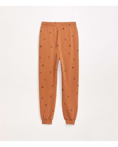 the loft sweatpants