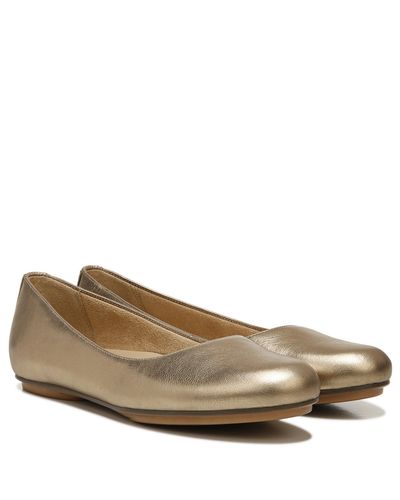 maxwell flat naturalizer