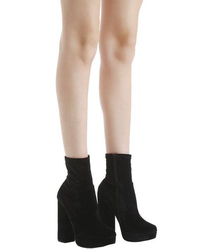 stardust steve madden