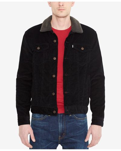 fred perry track jacket red