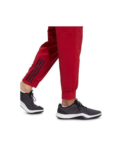 3 stripe joggers