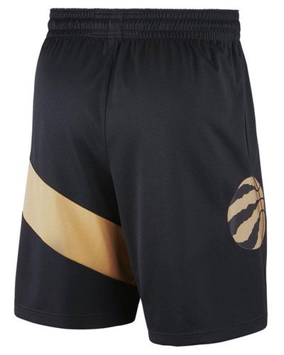 raptors shorts nike