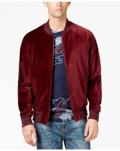american rag varsity jacket