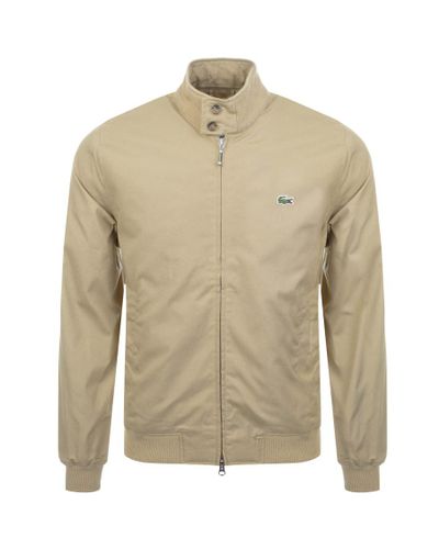 lacoste harrington jacket beige