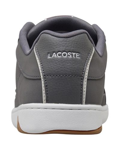 Veters heren Lacoste schoenen | KLEDING.nl