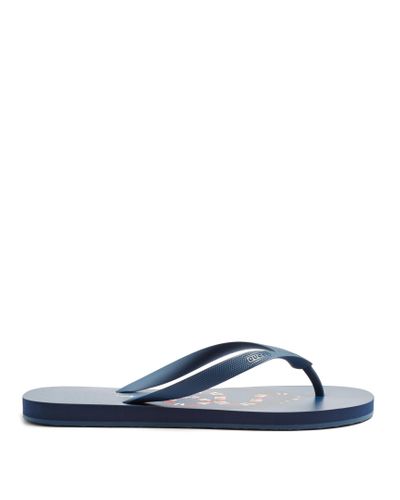 gucci flip flops snake