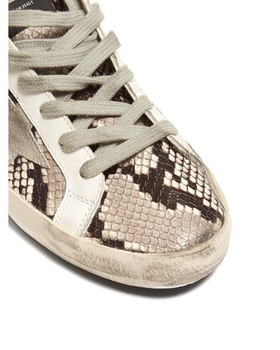 golden goose python
