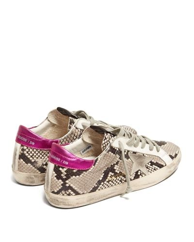 golden goose python