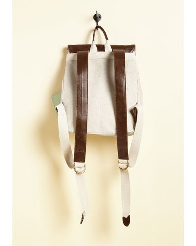 disaster designs backpack