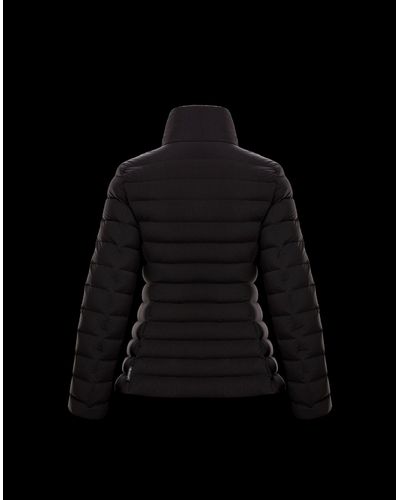 moncler guillemot