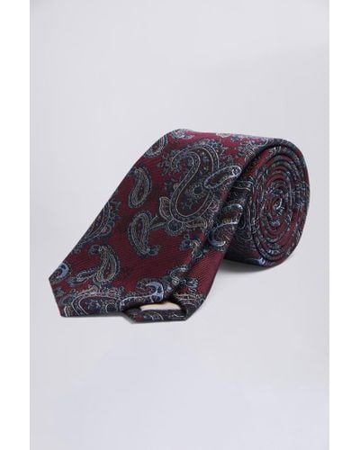 Moss Burgundy & Paisley Silk Tie - Multicolour