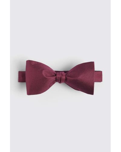 Moss Oxblood Silk Self-Tie Bow Tie - Purple