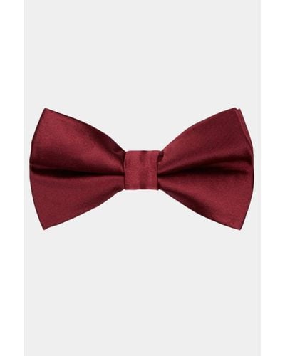 Moss Wine Skinny Bow Tie - Red