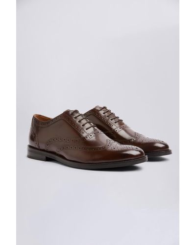 Moss Oxford Brogue Shoes - Brown