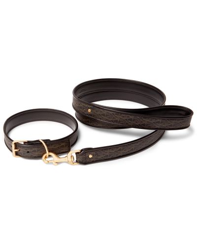 ysl dog collar