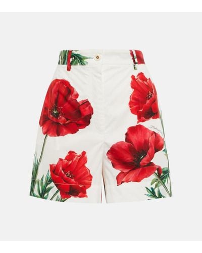 Dolce & Gabbana Bedruckte Shorts aus Baumwolle - Rot